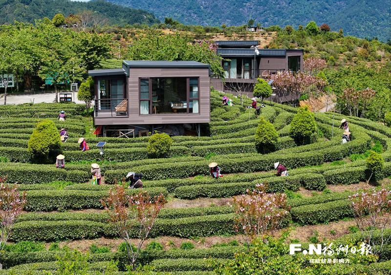 永泰:青山叠翠绘新卷 产业勃发向未来 永泰:青山叠翠绘新卷 产业勃发向未来