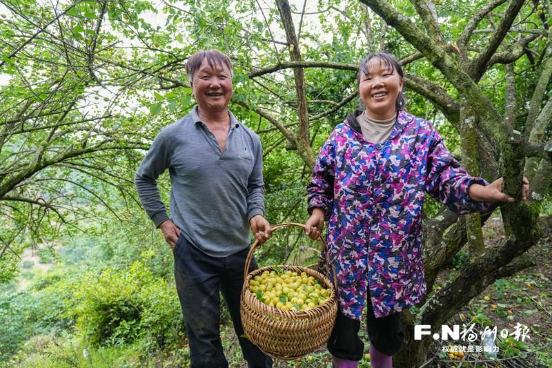永泰:青山叠翠绘新卷 产业勃发向未来 永泰:青山叠翠绘新卷 产业勃发向未来